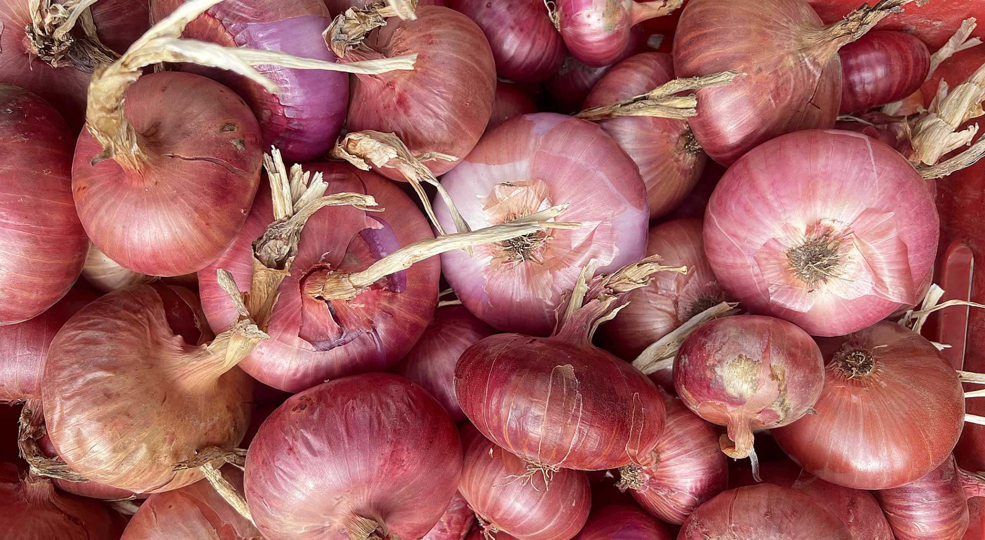 Carpenedo Assaggi di tradizione DiCà